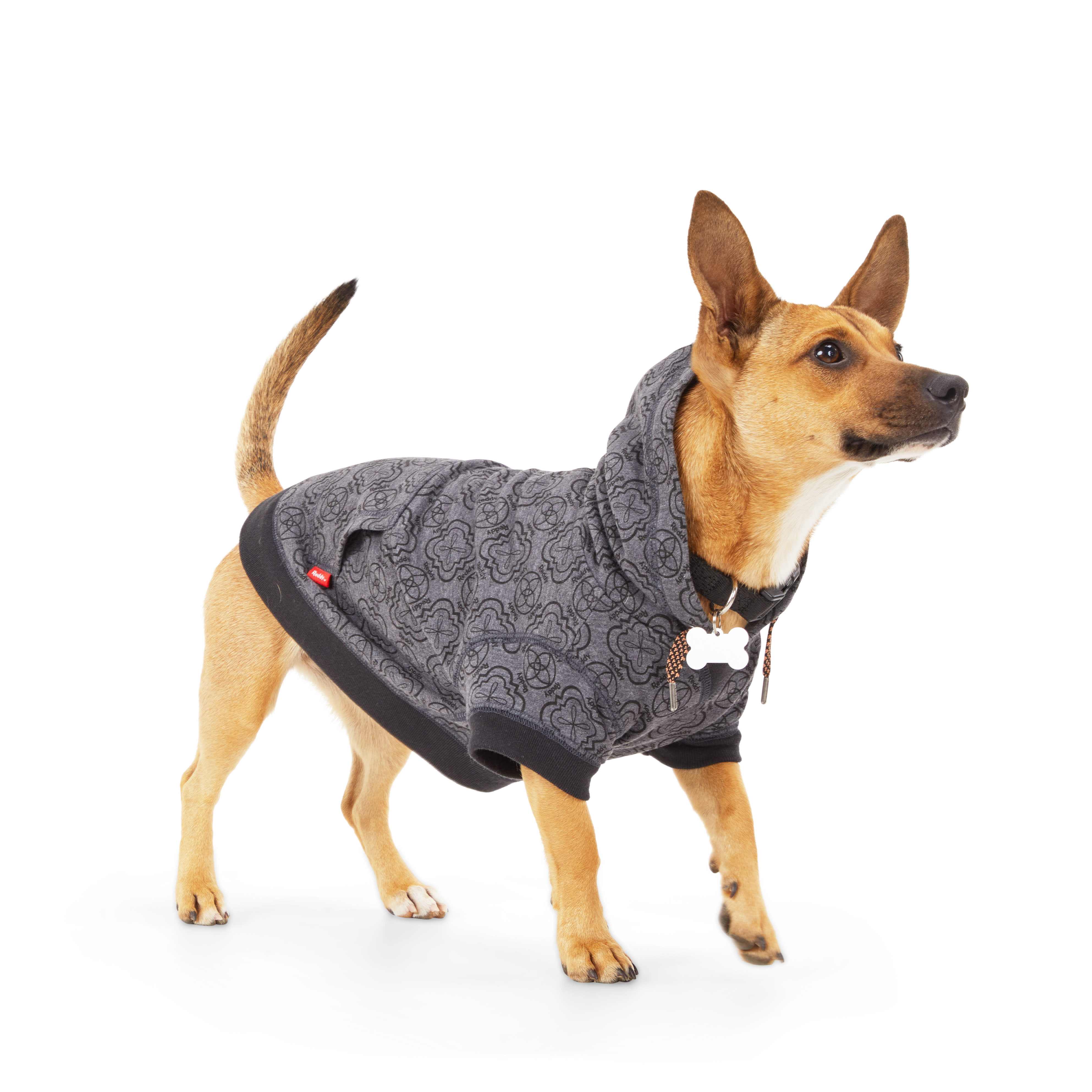 Reddy Charcoal Dog Hoodie， X-Small