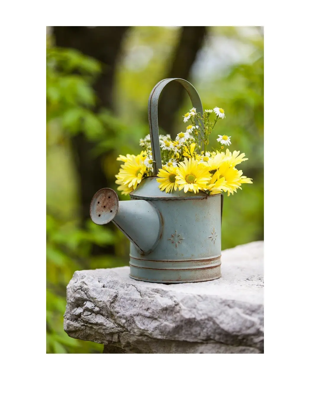 Multi Color Watering Can Tableware Home And Garden Useful Supplies Accessories Wholesale Supply Watering Can Garden Accessories