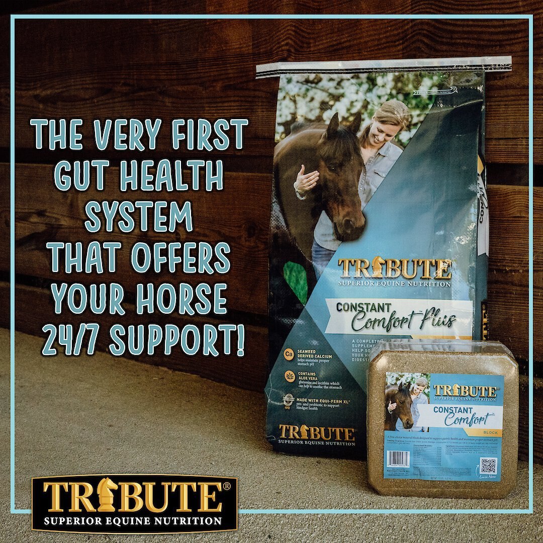 Tribute Equine Nutrition Constant Comfort Plus Gut Health Horse Supplement， 40-lbs bag