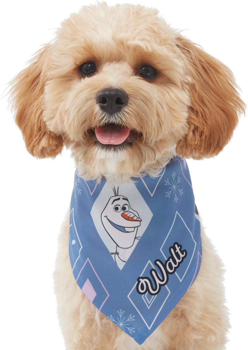 Disney Frozen's Olaf Diamond Pattern Personalized Dog and Cat Bandana