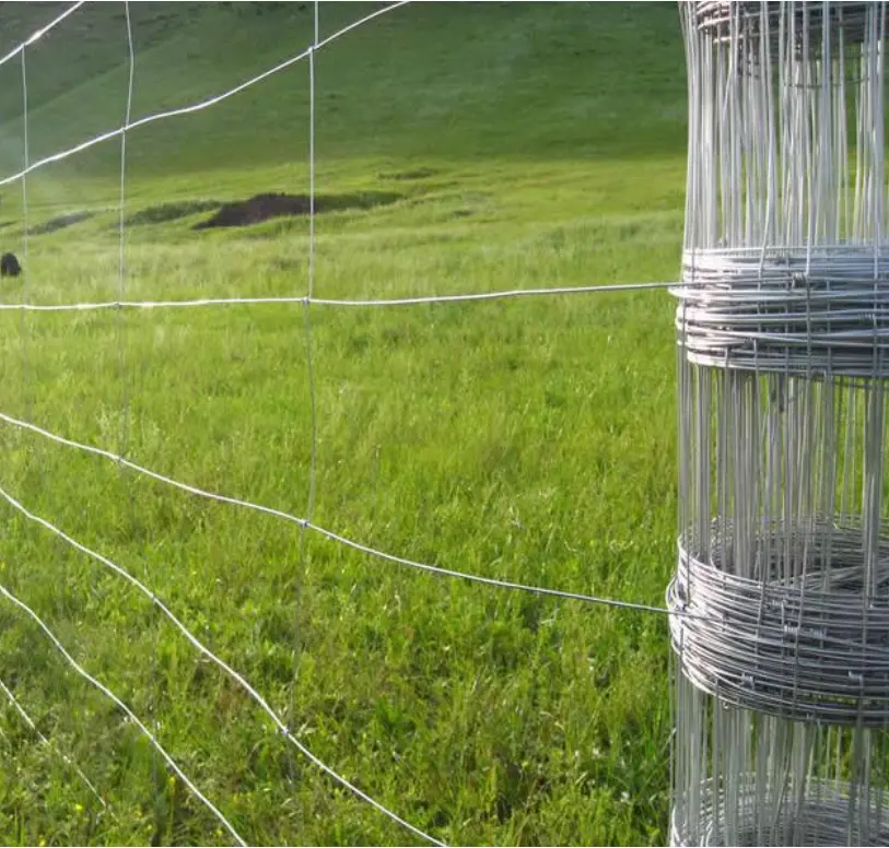 Farm Fence Steel Wire Mesh Wholesale Price Galvanized Field Mesh Fence