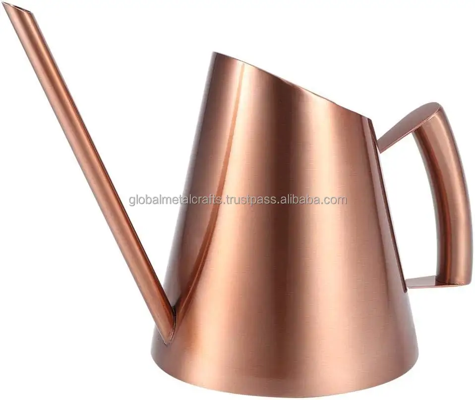 metal material decorative Watering can with wood handle for Pot Succulent Orchid Indoor Outdoor Plants