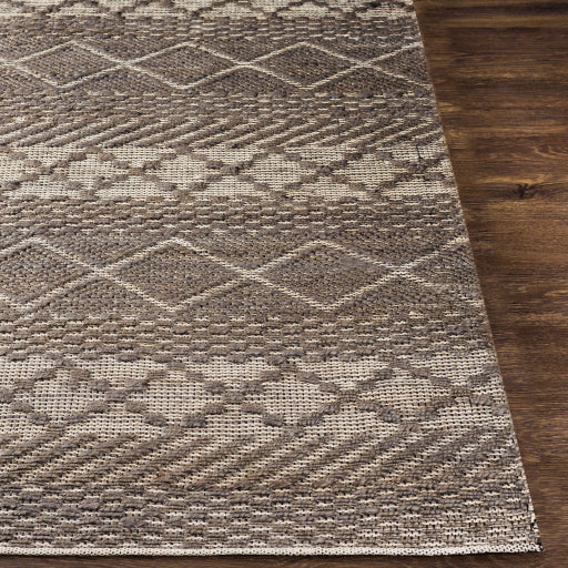 Santa Barbara Jute Medium Gray Rug