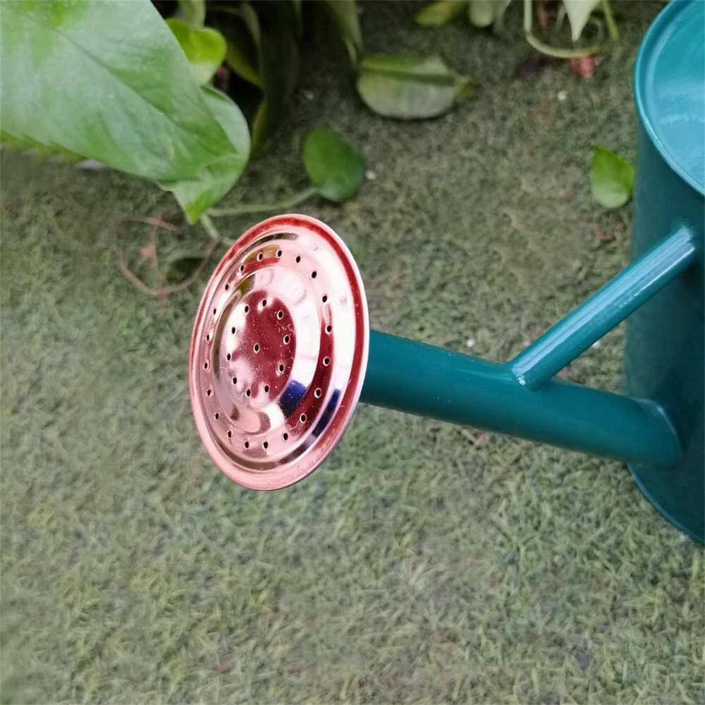 Dyiom 1 gal. Outdoor Steel Watering Can Sliver Galvanized Steel Green Watering Can with Copper Accents B07VX1RZZL