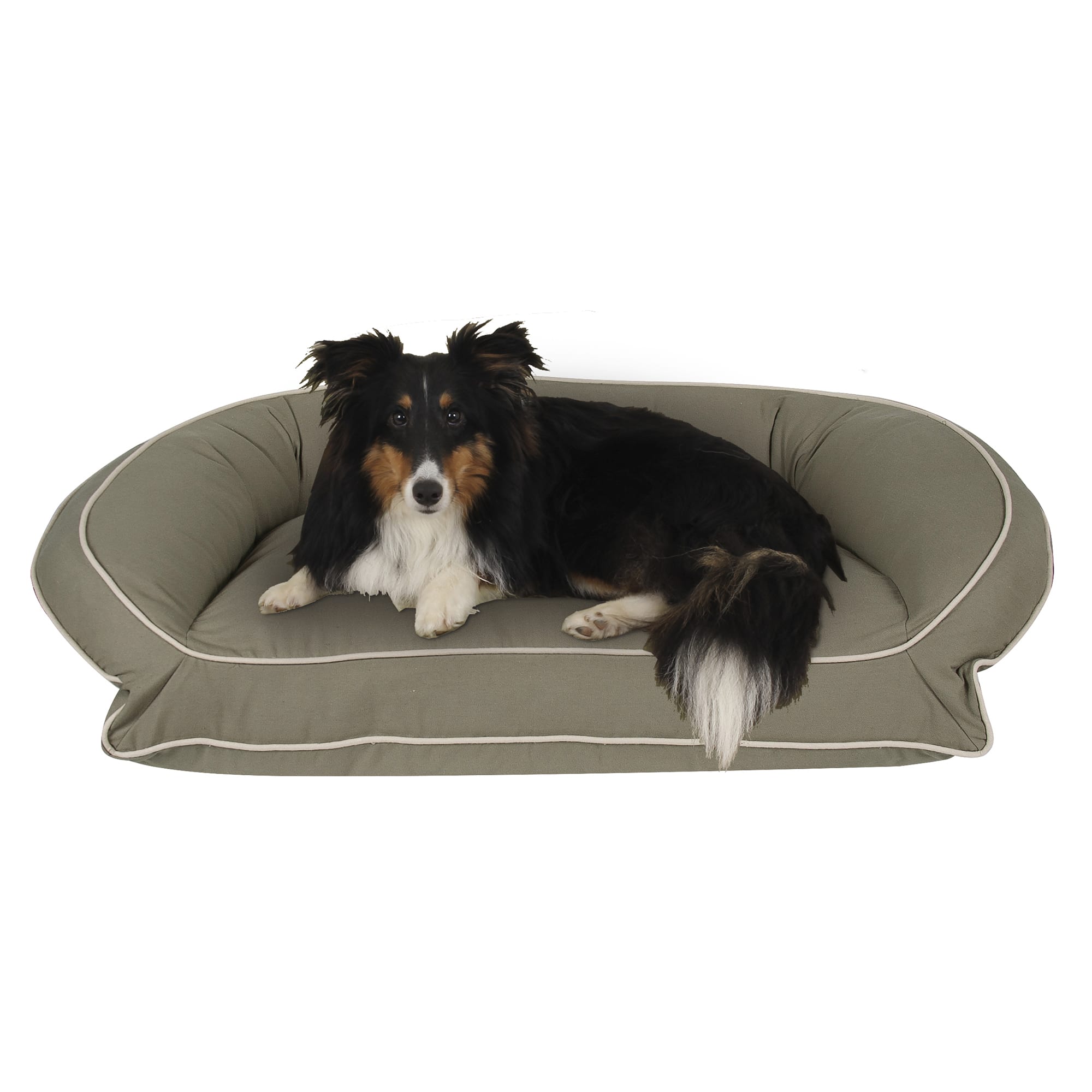 Carolina Pet Company Classic Canvas Memory Foam Bolster Dog Bed， 27