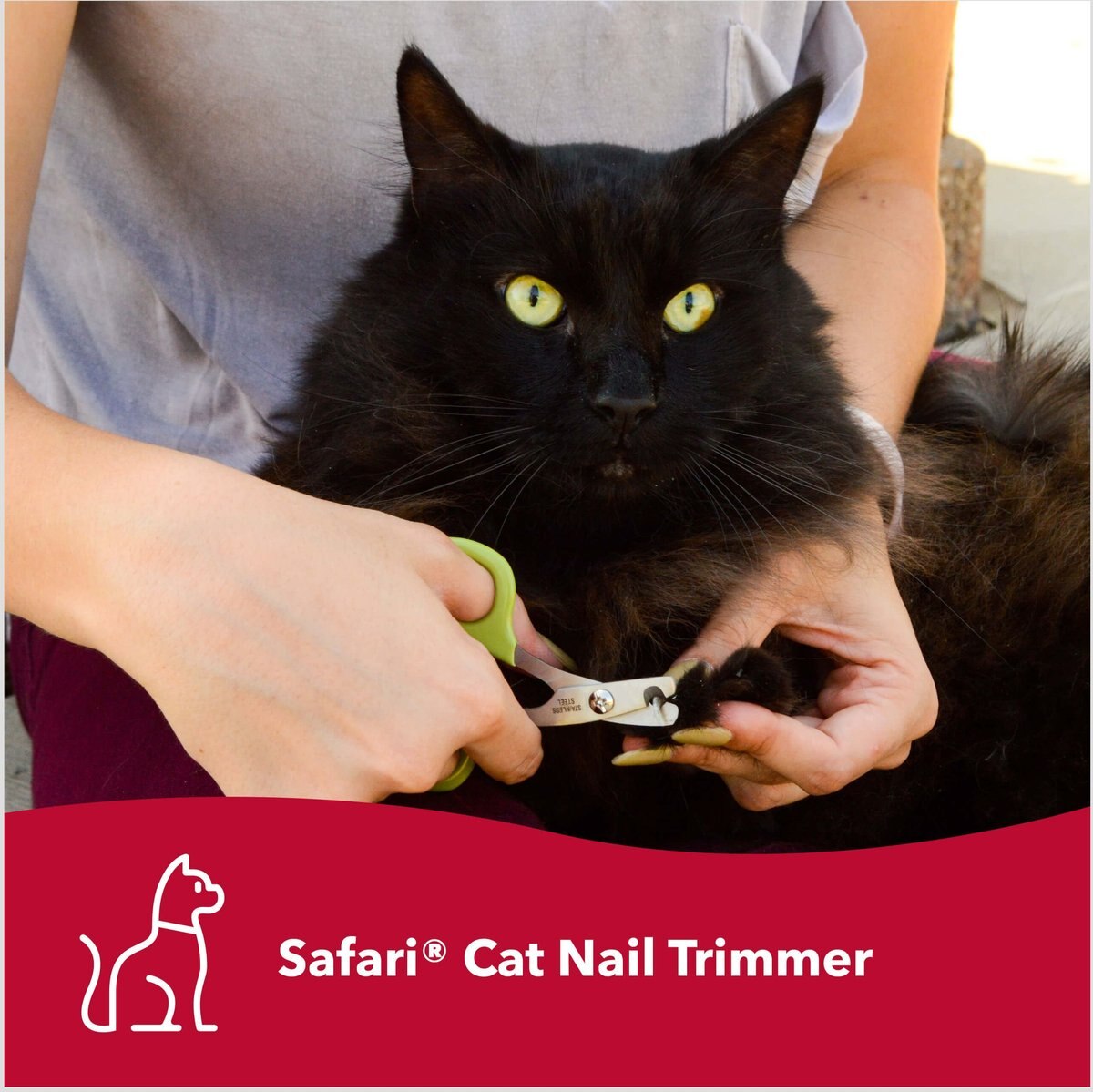 Safari Nail Trimmer for Cats