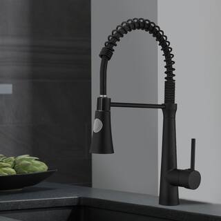 Boyel Living Black Stainless Steel Faucet Single-Handle Faucet Pull-Down Sprayer Kitchen Faucet BM2008B