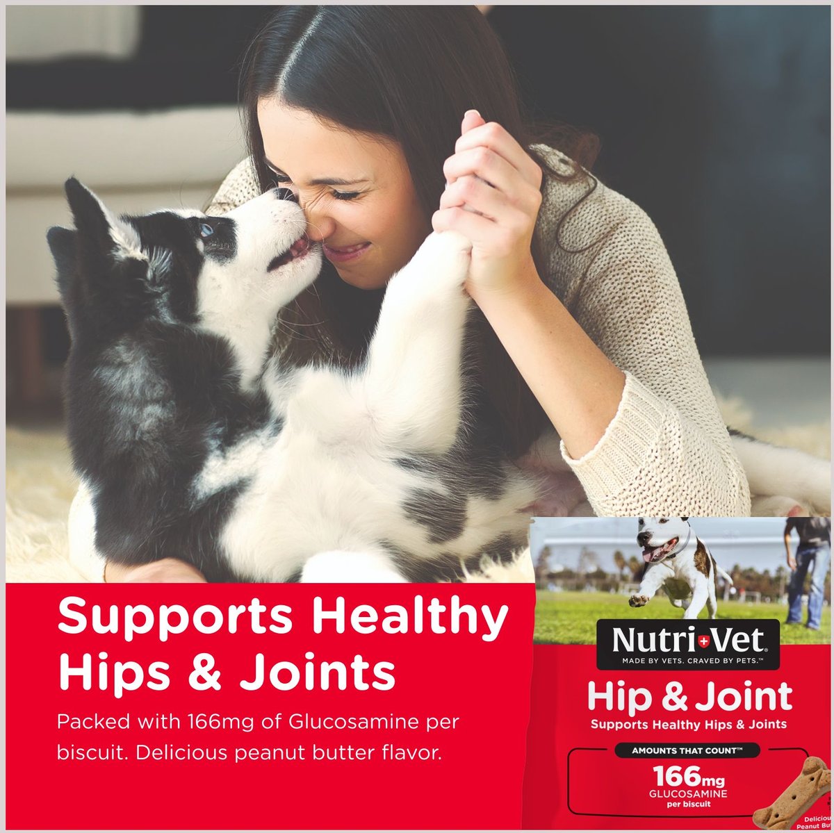 Nutri-Vet Hip and Joint Regular Strength Biscuits for Small and Medium Dogs Peanut Butter Flavor Treats