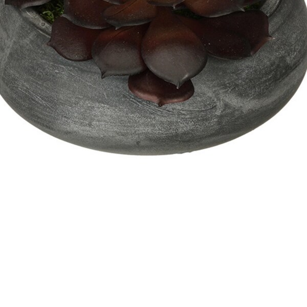 Faux Burgundy Echeveria Garden in Small Ceramic Bowl