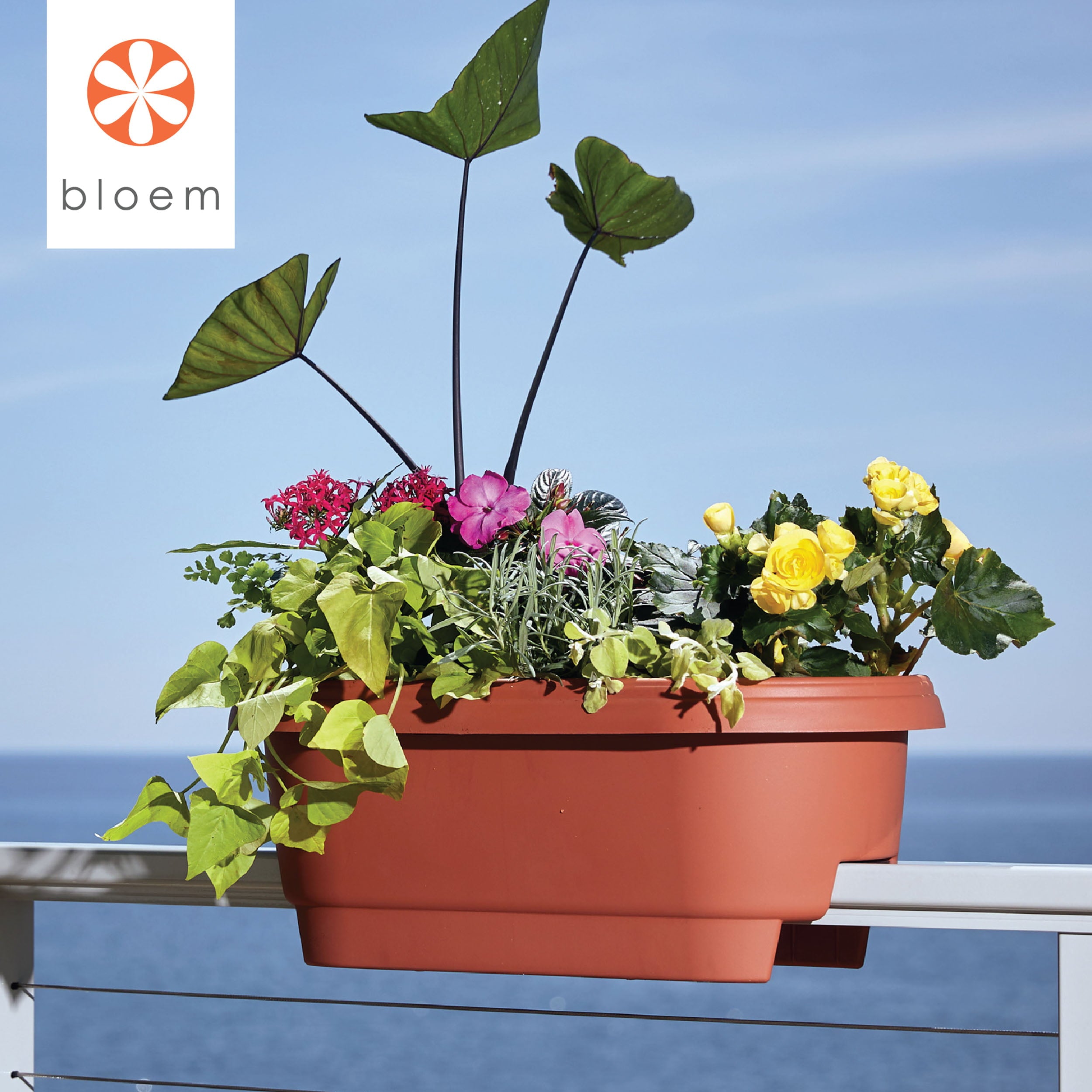 Bloem Deck Rail Planter Deck Rail Planter 24 x 9 Plastic Rectangle Terracotta