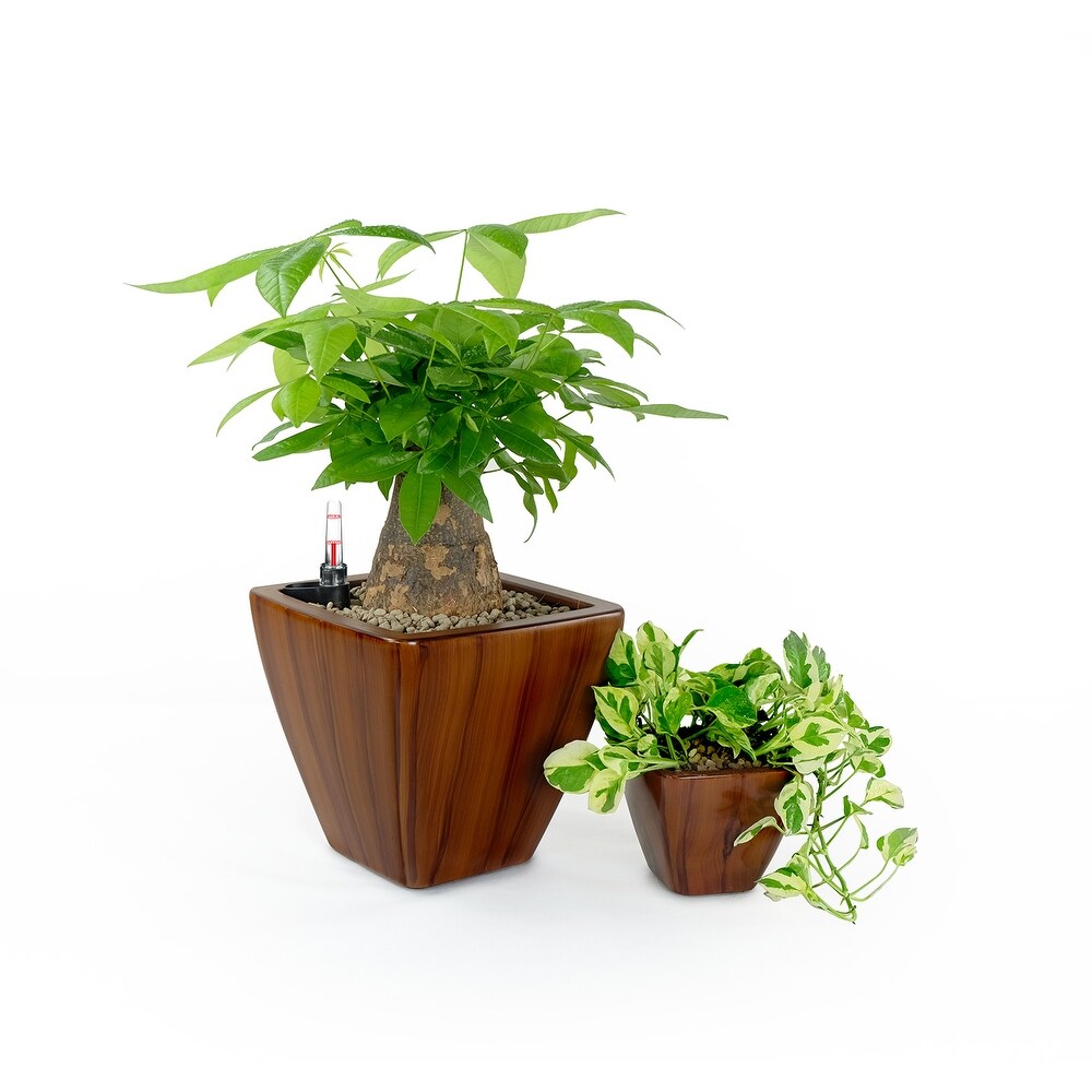 Set of 2 CATLEZA Smart Self watering Planter Pot suitable for  Plants  Herb  Succulents  Flowers