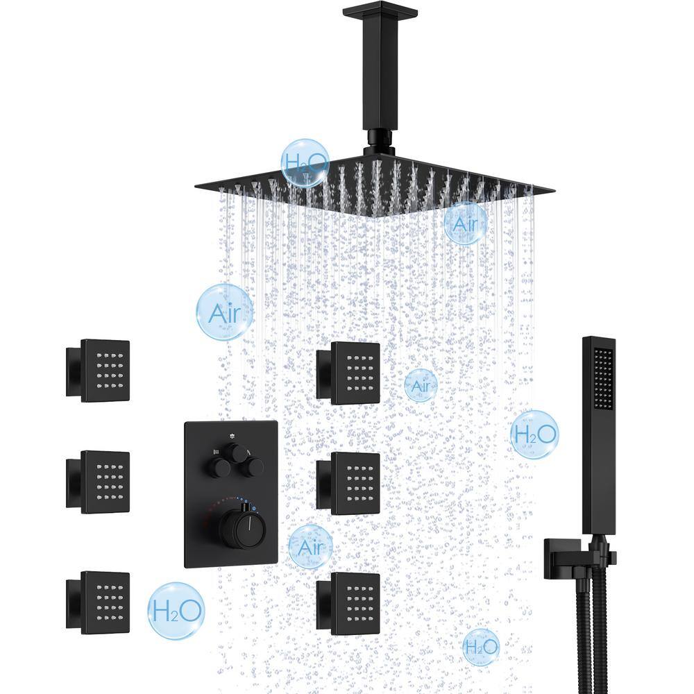 EVERSTEIN Luxury 7-Spray Patterns Thermostatic 12 in. Ceiling Mount Rainfall Dual Shower Heads with 6-Jet in Matte Black SFS1006-BK12