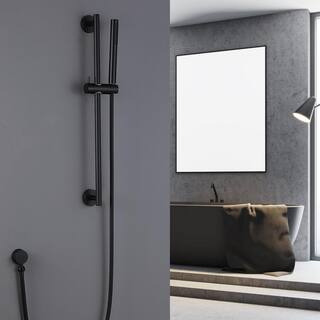 Aurora Decor Hemo 1-Spray Function Hand Shower with Slide Bar Kit in Matte Black AD-SF0887MB