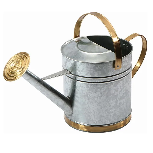 Distributor   Wholesaler Of Galvanized Water Can Customized Color Handmade Watering Can Indian Stylish Designer Water Can