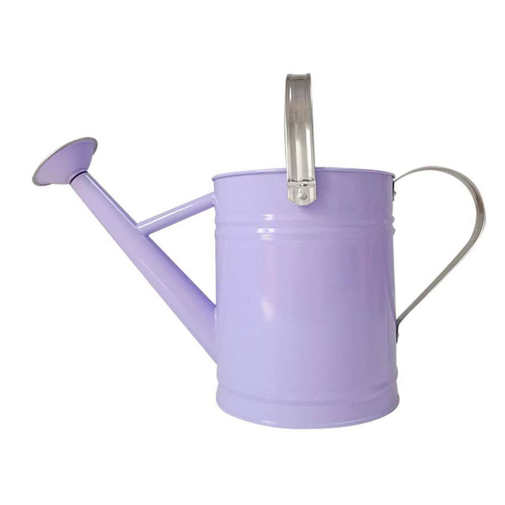 Dyiom 1 Gal. Purple Metal Watering Can B0B4JQ8GDS