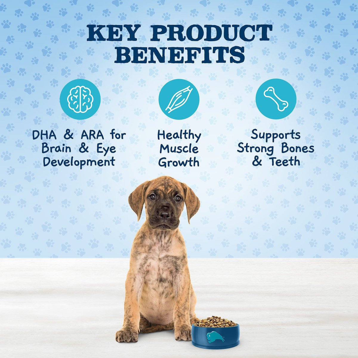 Blue Buffalo Baby Blue Large Breed Healthy Growth Formula Natural Chicken and Brown Rice Recipe Puppy Dry Food， 24-lb bag