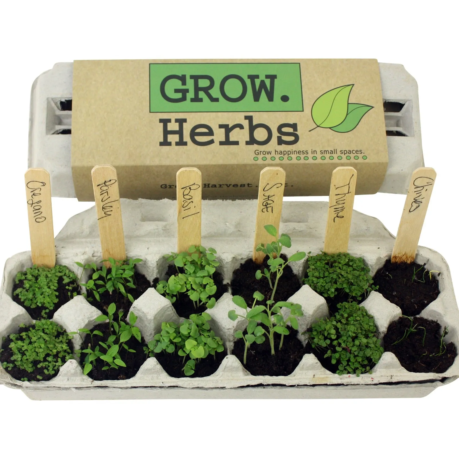 Personalized Organic Nursery Tag Herb kit Mini Garden Herb Tools plant Pot Indoor Herb Garden Supplies