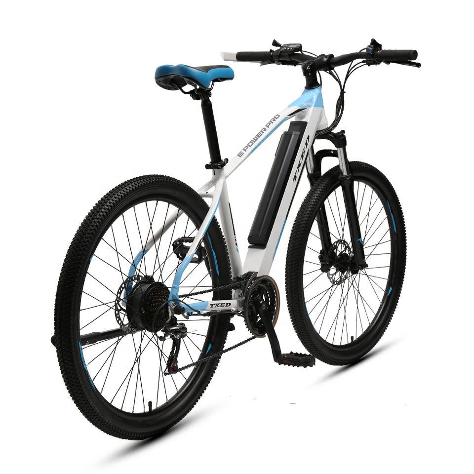 TXED Rear hub motor electric mountain ebike