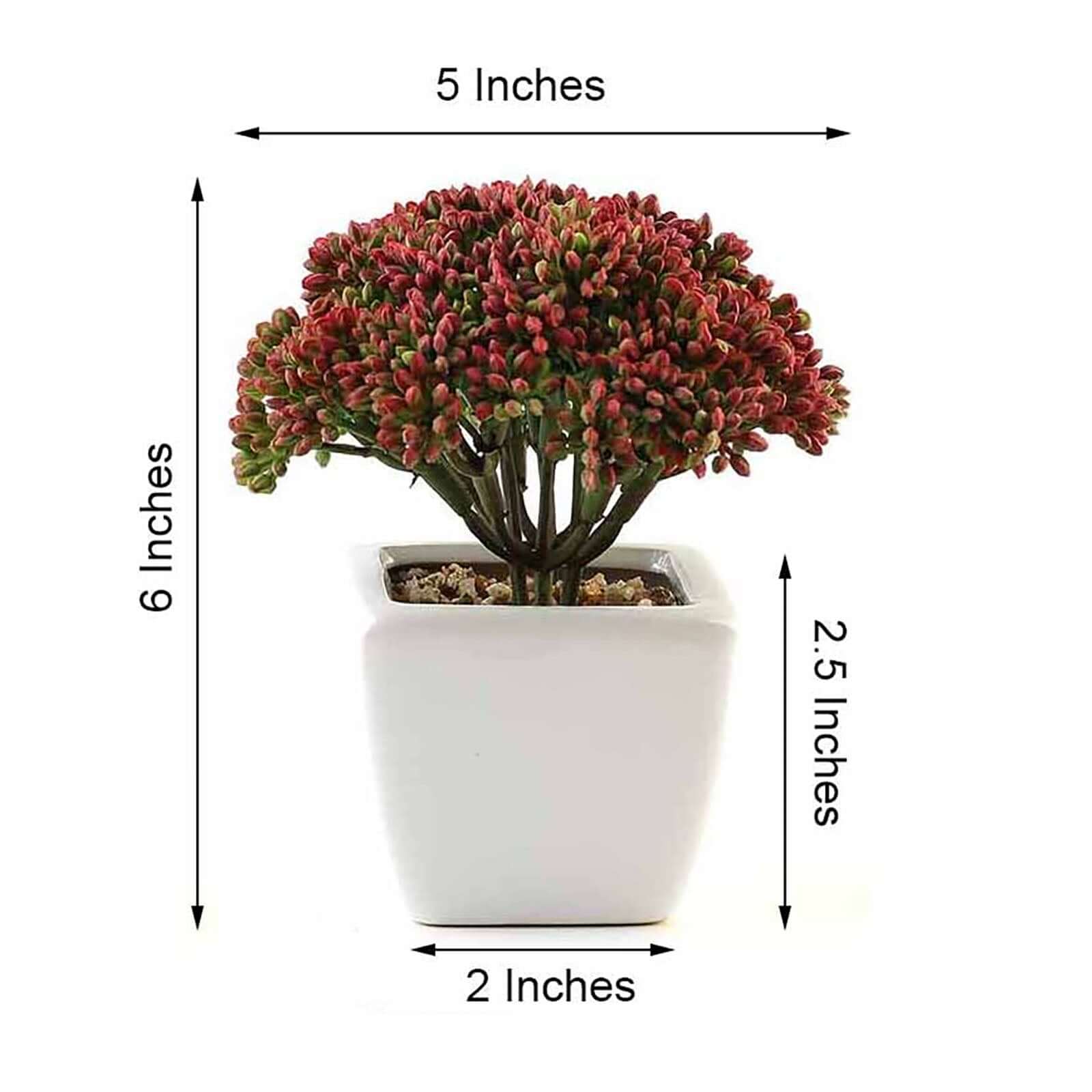 3 Pack Ceramic Planter Pot and Artificial Joy Sedum Succulent Plant 6