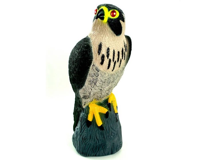 Bird X Peregrine Falcon Decoy - FALCON