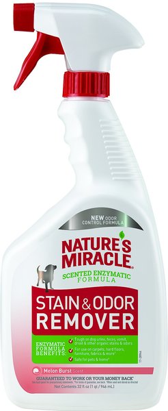 Nature's Miracle Dog Enzymatic Stain Remover and Odor Eliminator Spray， Melon Burst Scent， 32-oz bottle