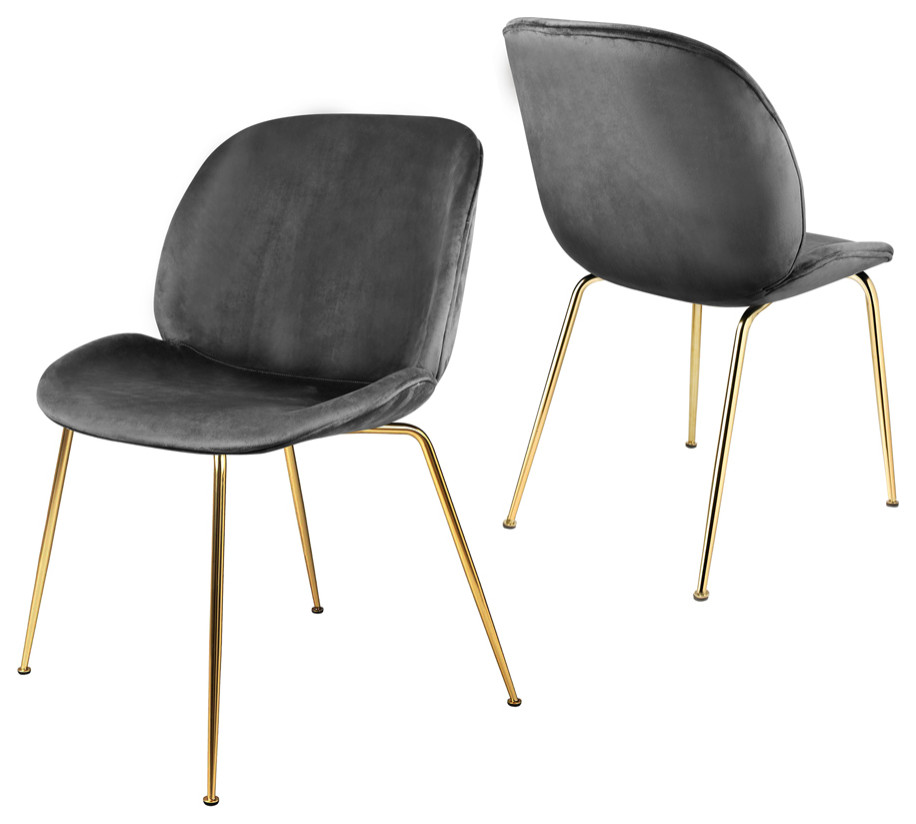 Dark Gray Velvet Shell Dining Chairs With Gold Legs  Set of 2   Midcentury   Dining Chairs   by specialty imports  Houzz