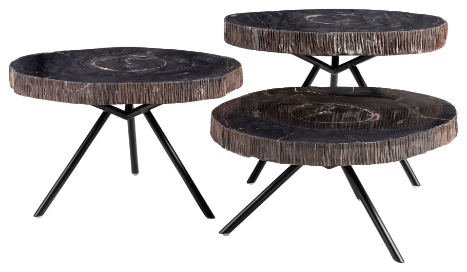 Petrified Wood Coffee Table Set  3 Piece Set  Versmissen   Contemporary   Coffee Table Sets   by Oroa   Distinctive Furniture  Houzz