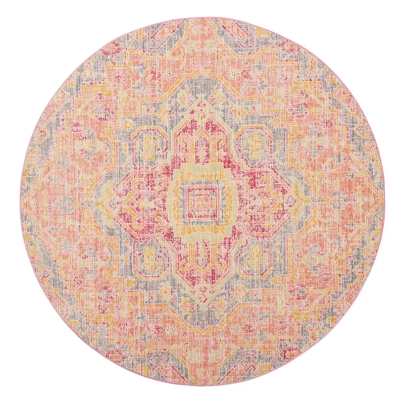 Safavieh Windsor Aiden Framed Medallion Rug