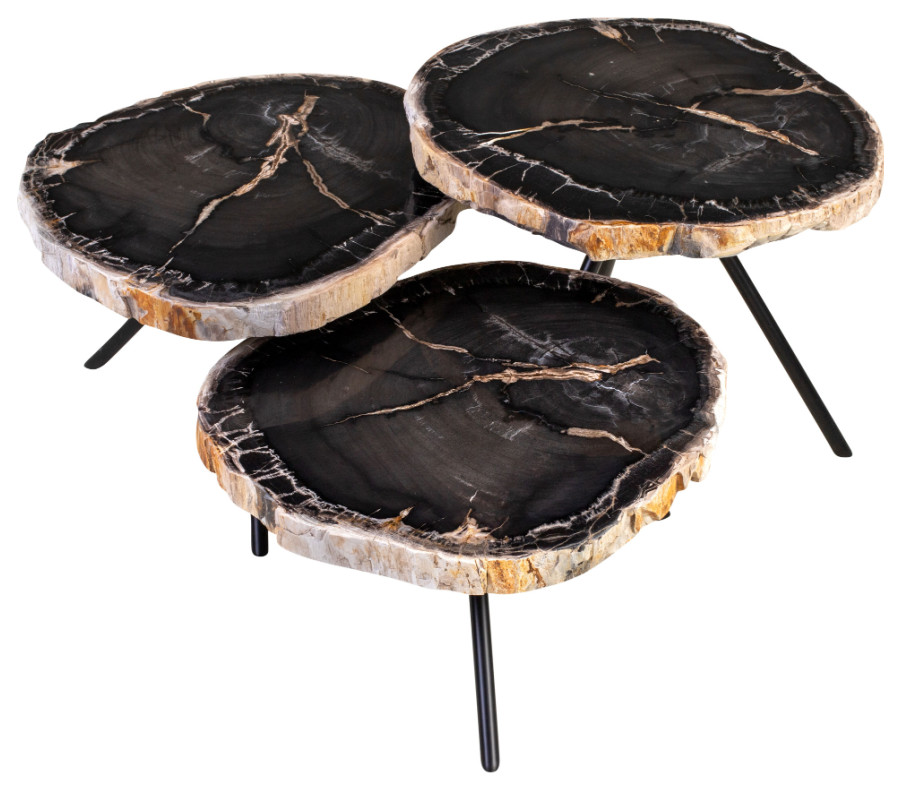 Petrified Wood Coffee Table Set  3 Piece Set  Versmissen   Contemporary   Coffee Table Sets   by Oroa   Distinctive Furniture  Houzz