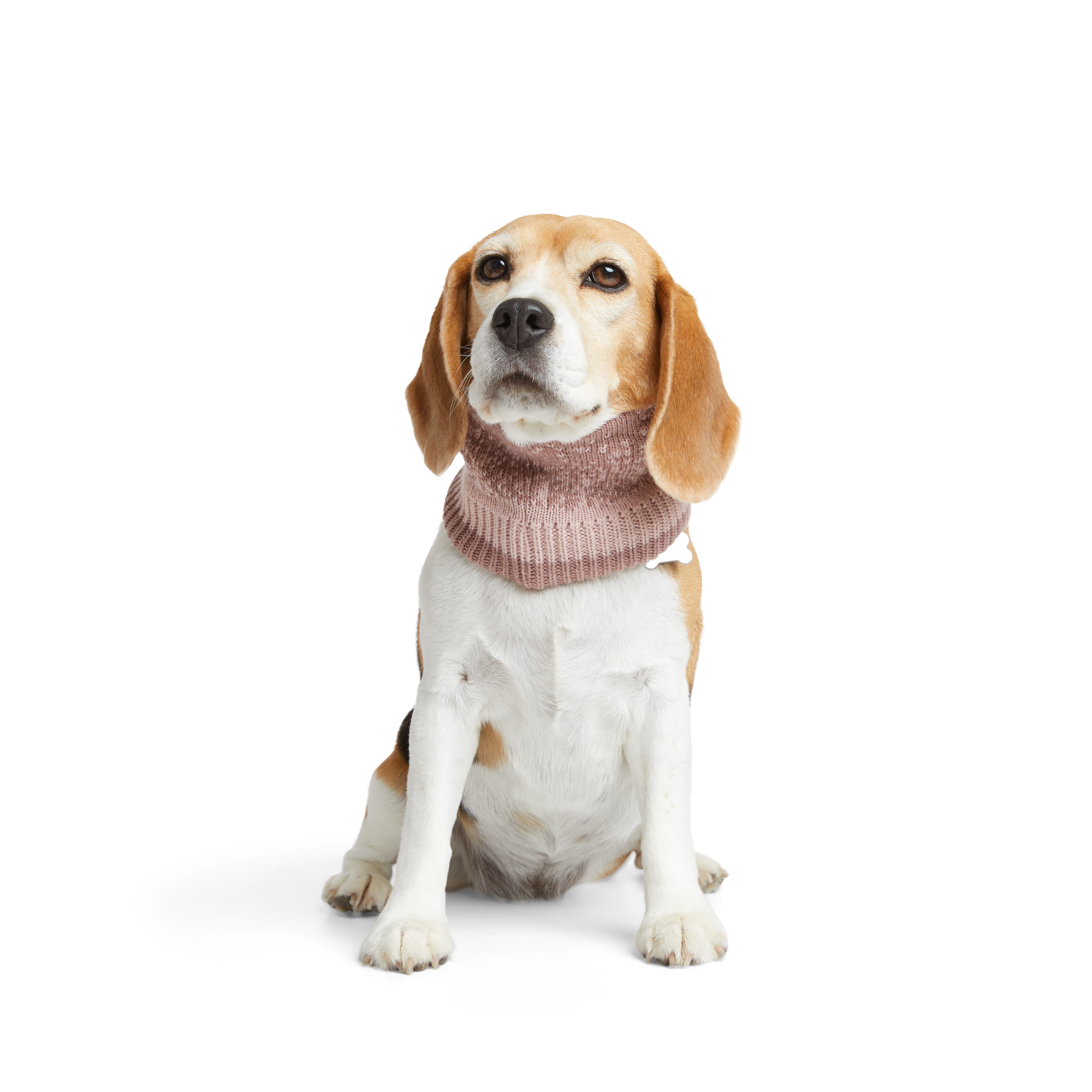 Reddy Pink Scarf for Dogs， X-Small/Small