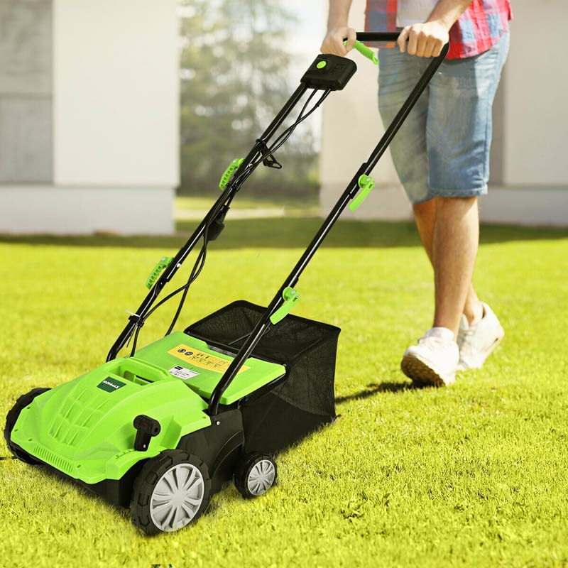 2-in-1 Electric Lawn Dethatcher & Scarifier, 12 Amp 13