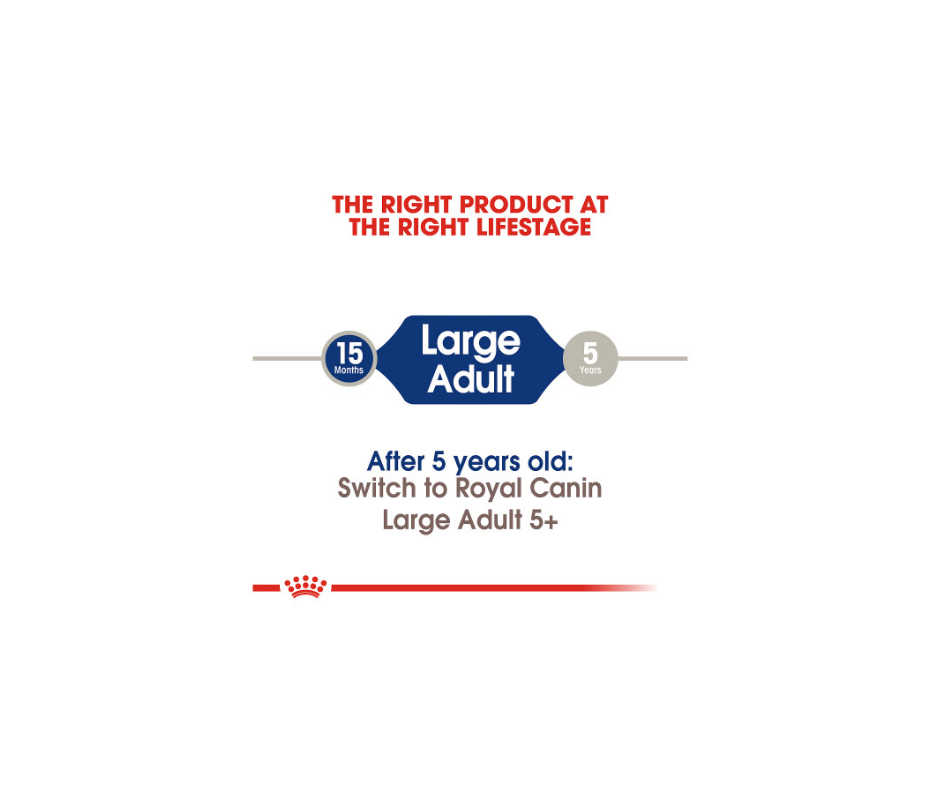 Royal Canin - Large Breed Adult Dry Dog Food