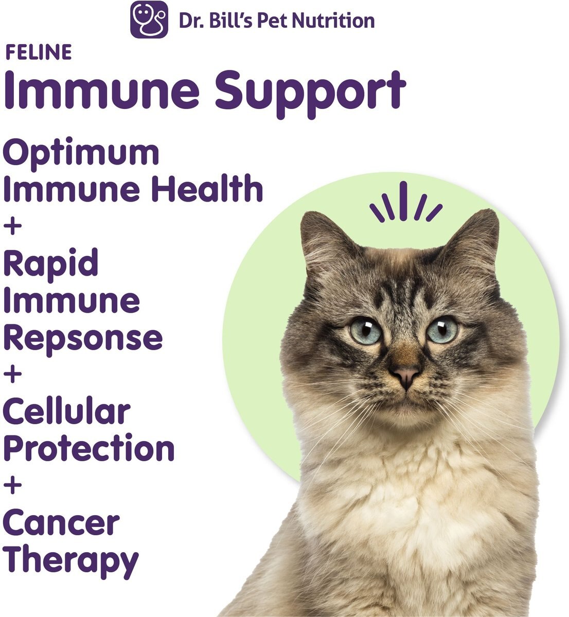 Dr. Bill's Pet Nutrition Feline Immune Support Cat Supplement Powder， 60-gm pouch