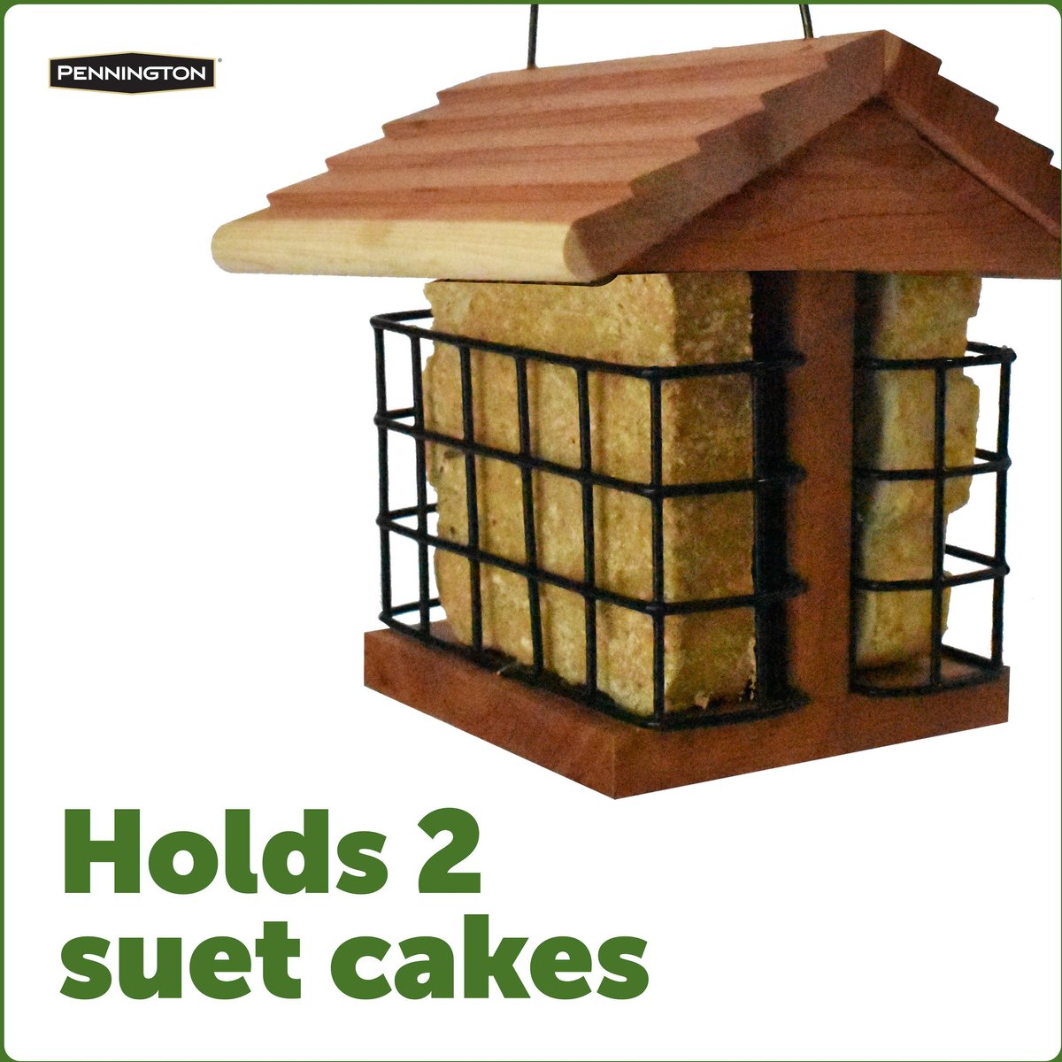 Pennington Cedar Suet Station Bird Feeder