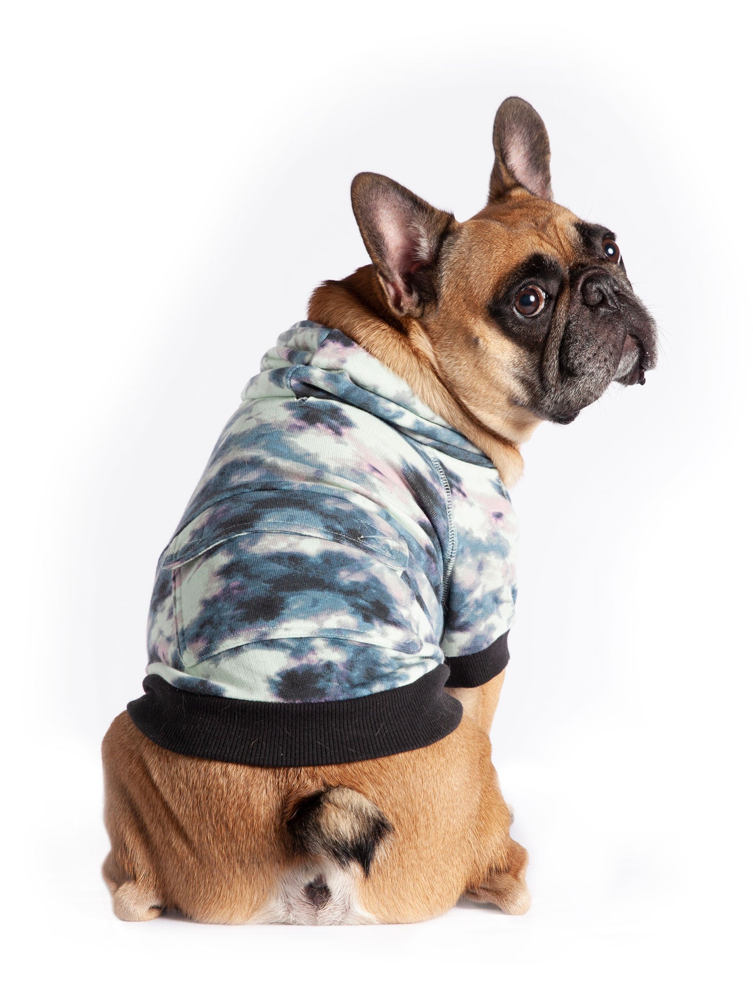 Coco + Rebel Tie-Dye Fashion Dog Hoodie