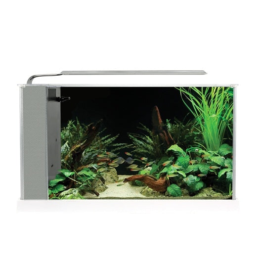 Fluval Spec V 5 Gallon Aquarium Kit WHITE