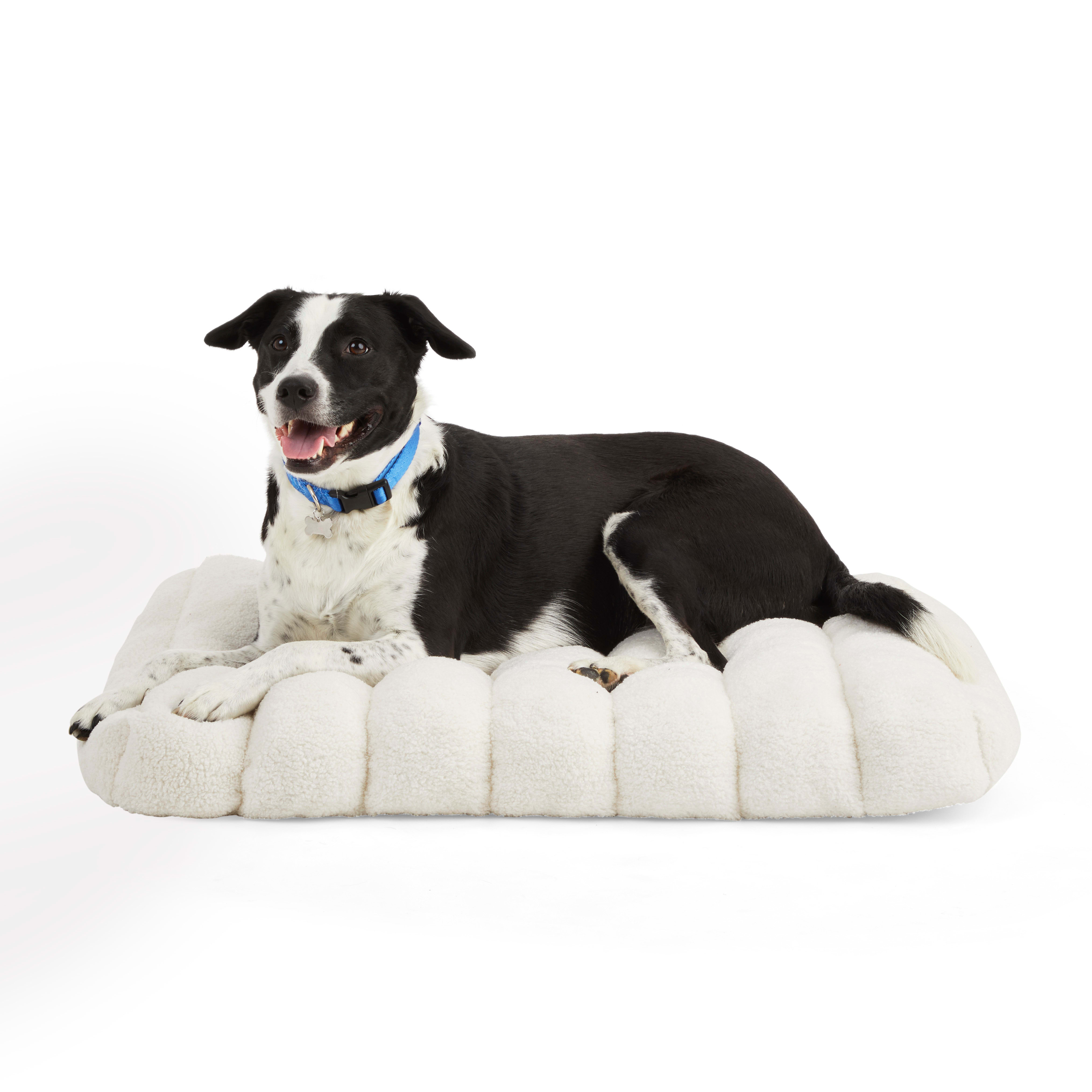 EveryYay Snooze Fest Cream Bed for Dogs， 24