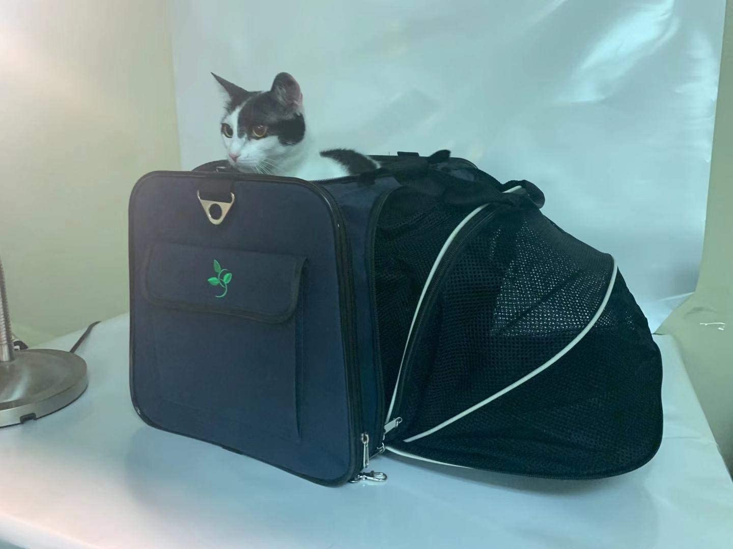 Portable pet Carrier Folding Soft Pet Travel Bag Airline Approved Pet Bag for Small Medium Cats Dog Puppies