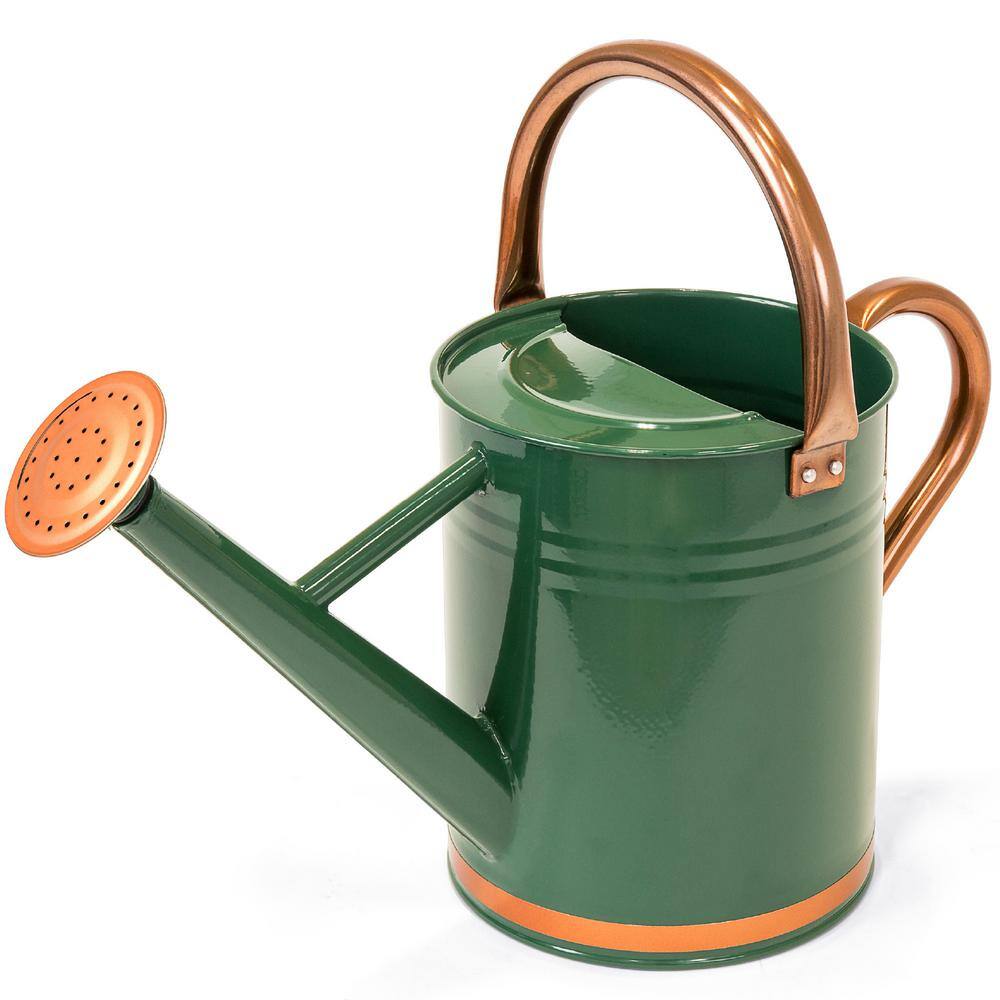 Best Choice Products 1 Gal. Watering Can SKY4191