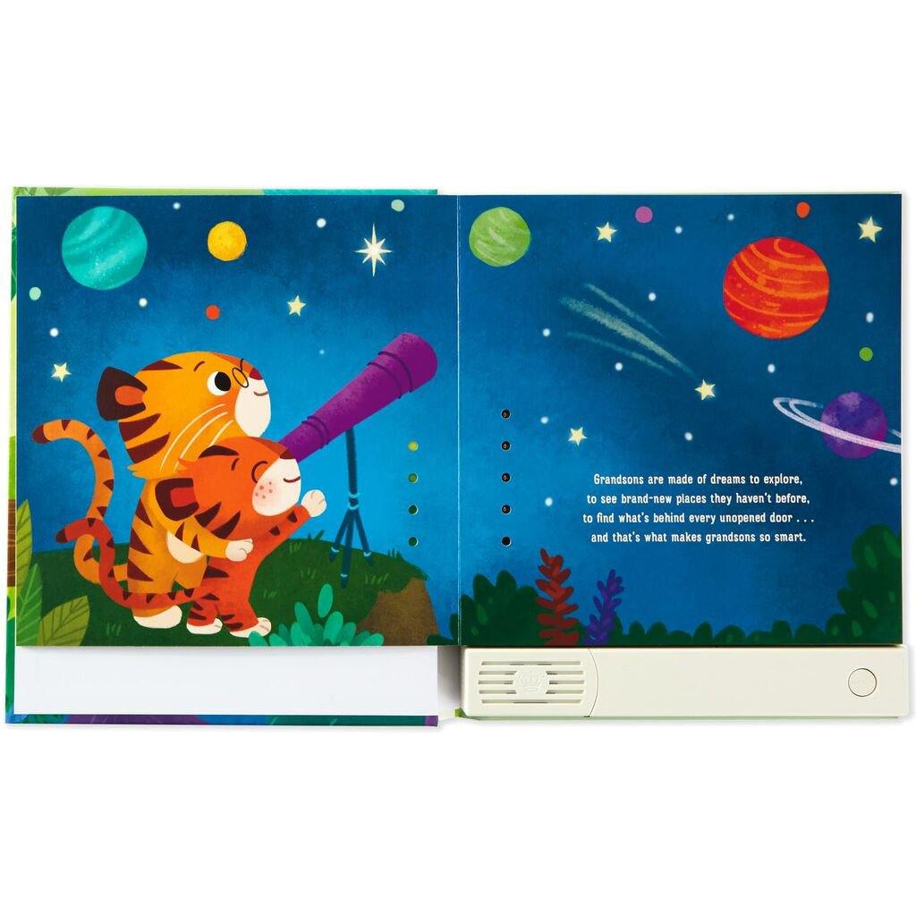 Hallmark  What Are Grandsons Made Of? Recordable Storybook