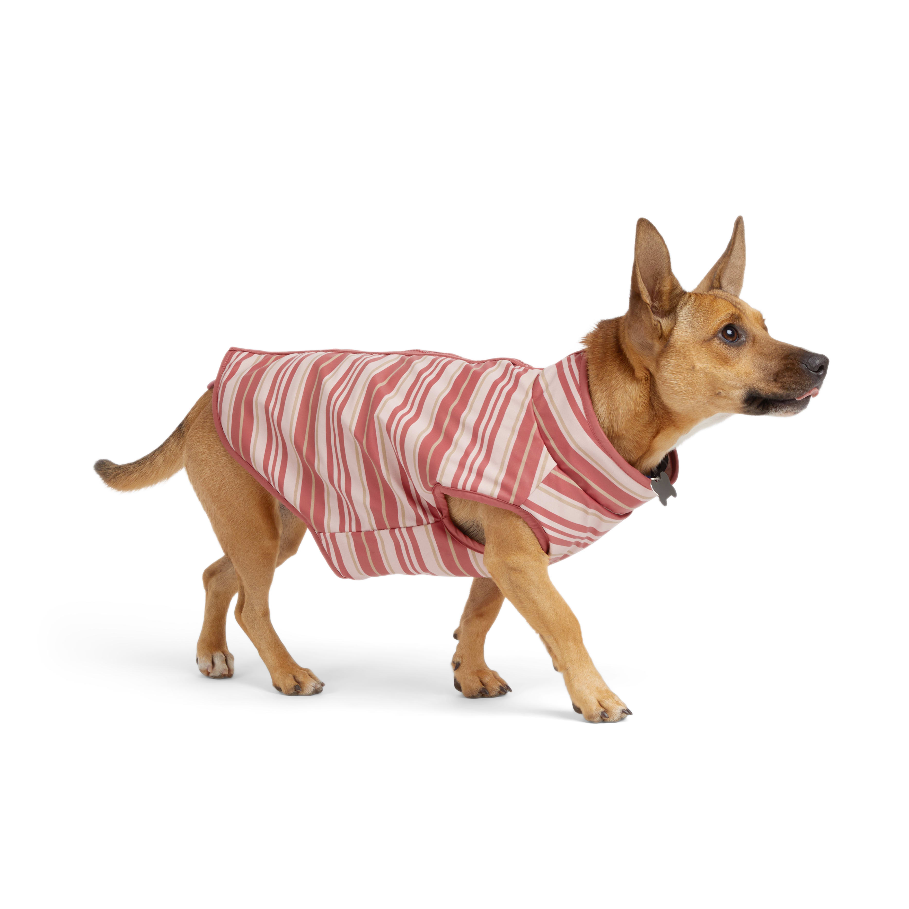 YOULY Pink Reversible Stripe Pet Jacket， XX-Small