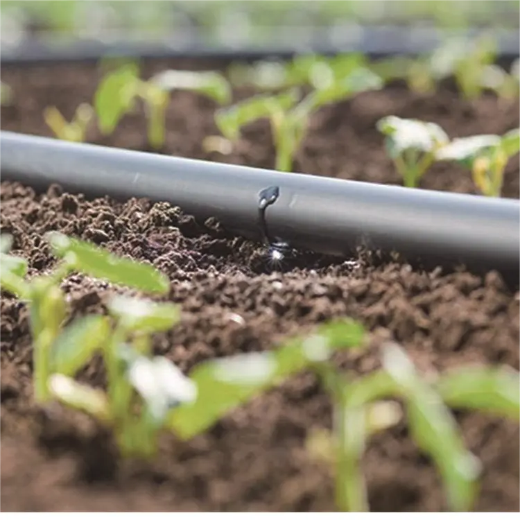 manufacture micro irrigation system Drip pipes with pressure compensating for farm / garden supplies