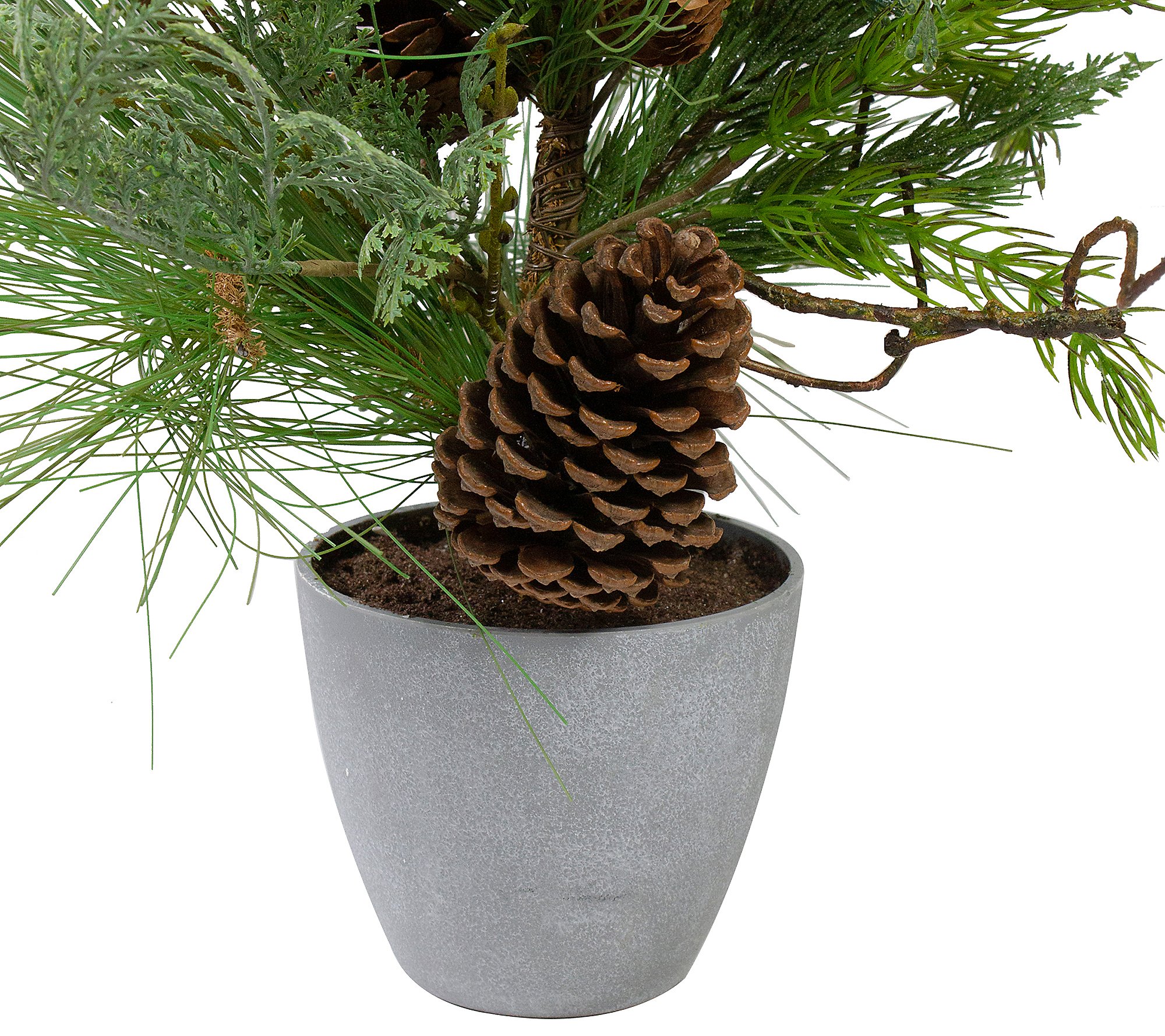 Northlight 2' Potted Mixed Pine Cedar and TwigTree - Unlit