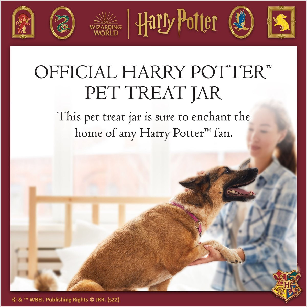 Fetch For Pets Harry Potter Hedwig Dog Treat Jar