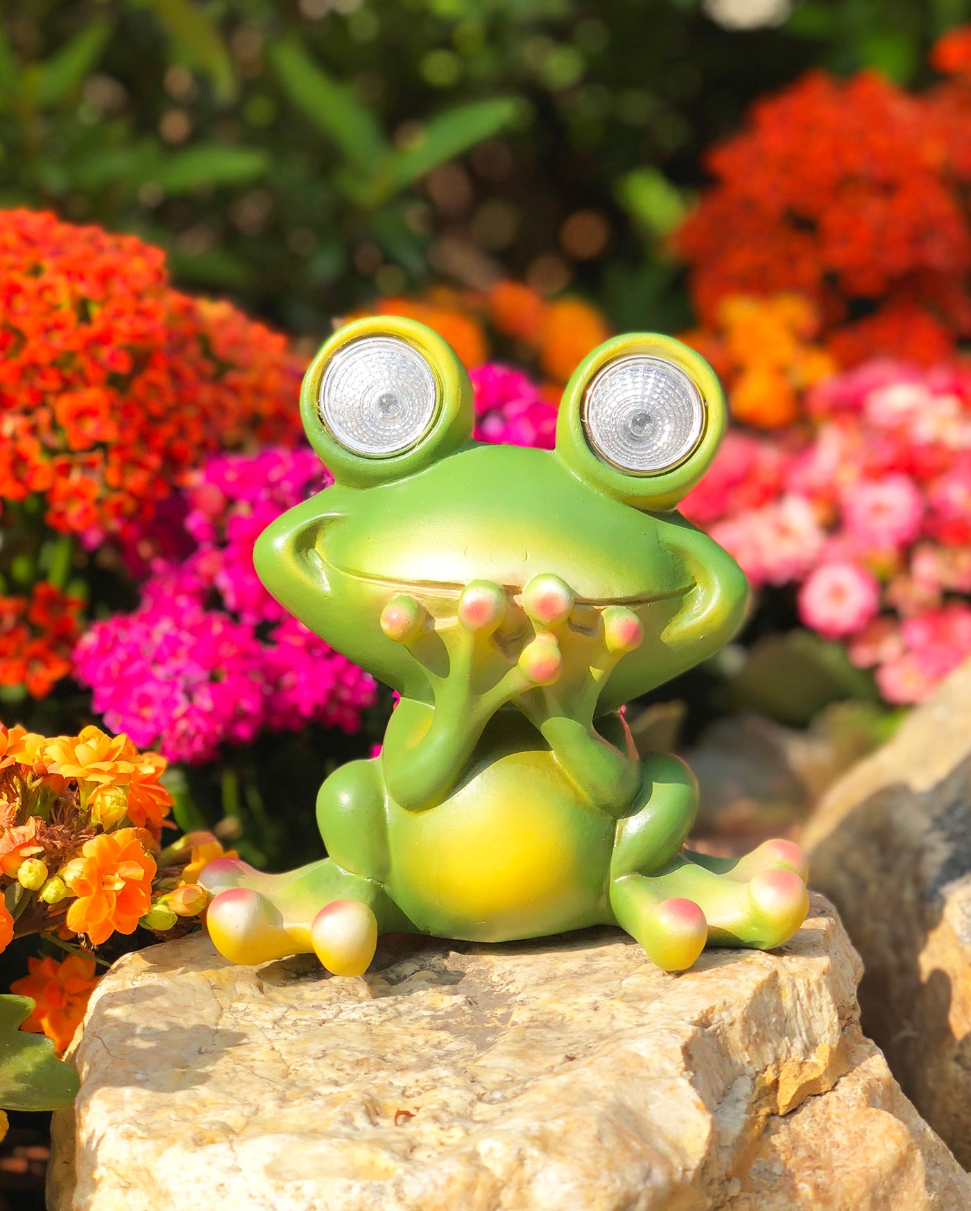 Solar Powered Frog Outdoor LED Garden Light Decor (SPEAK - NO)