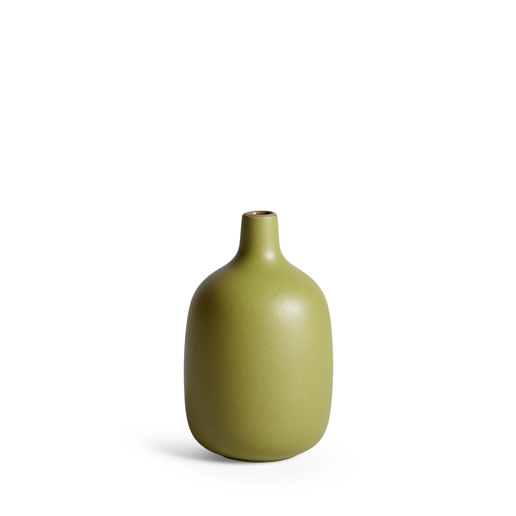 Single-Stem Vase – Simple, Elegant, and Perfect for Minimalist Floral Arrangements