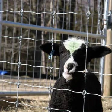 Low price animal fence cattle fence for sale in high quality