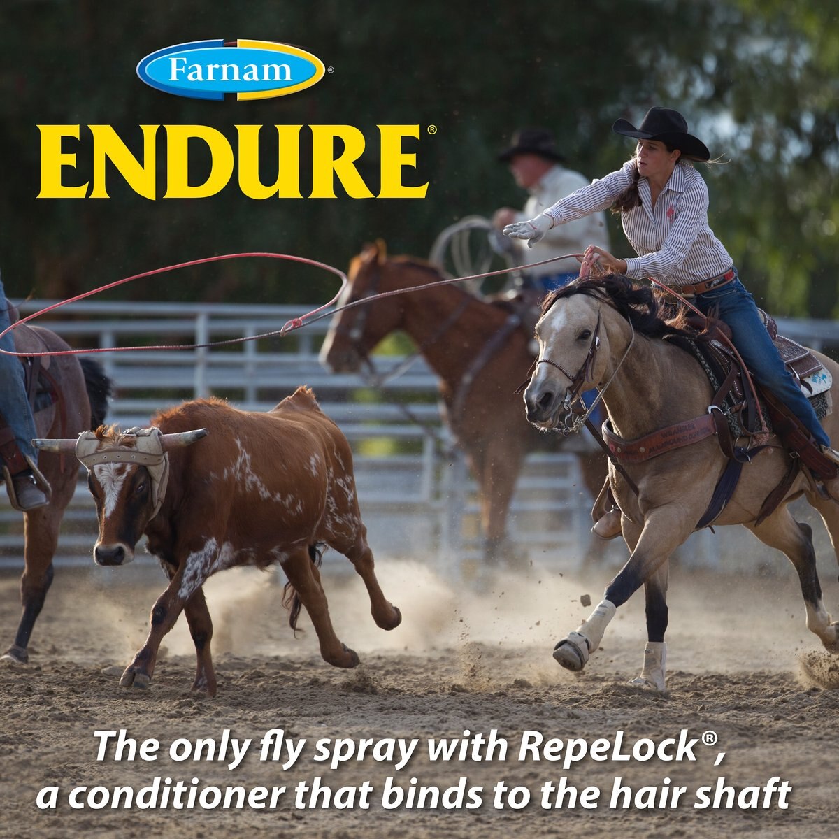 Farnam Endure Sweat-Resistant Fly Repellent Horse Spray