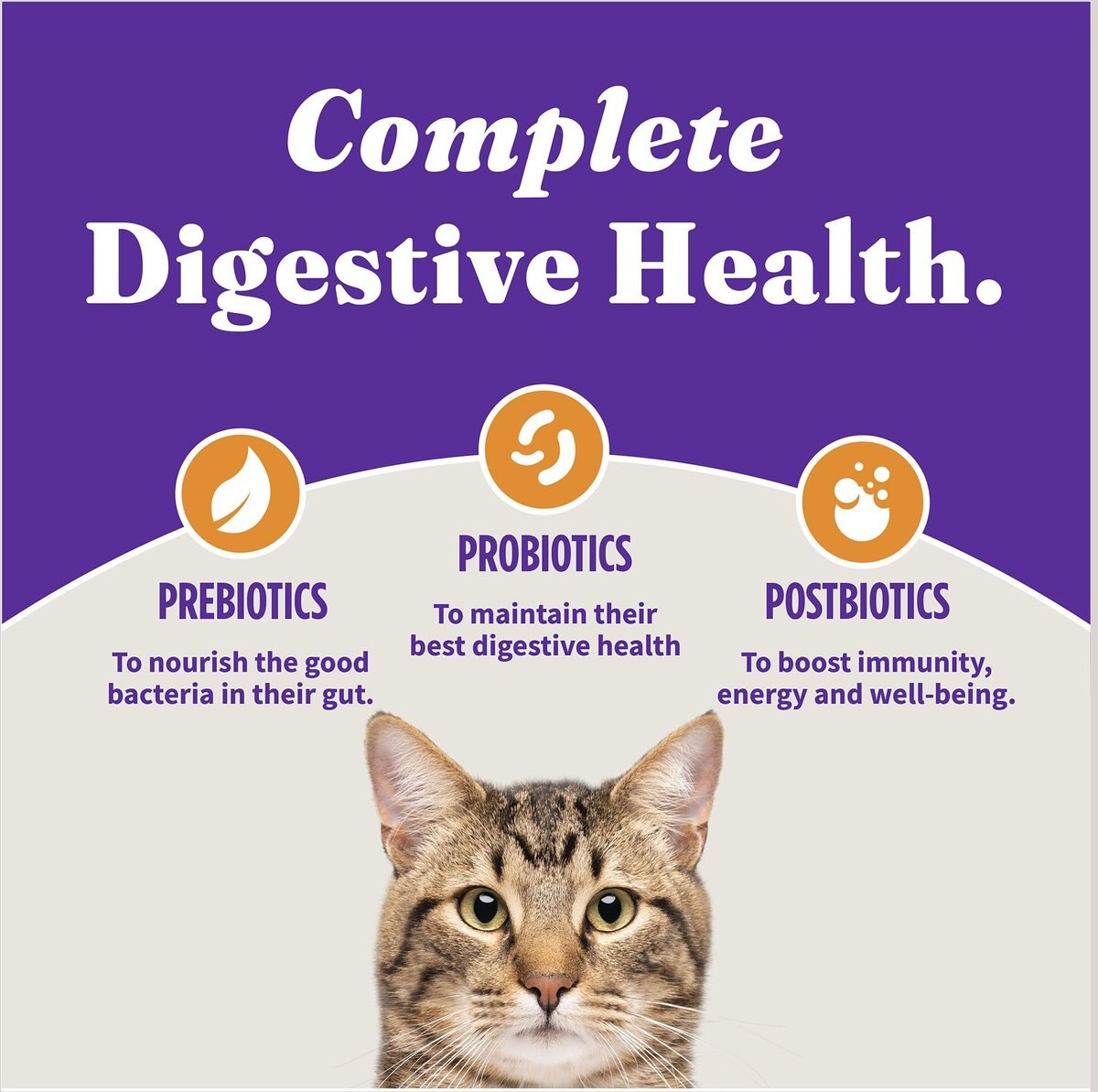 Halo Holistic Kitten Food Grain-Free Cage-Free Chicken Recipe Complete Digestive Health Dry Cat Food