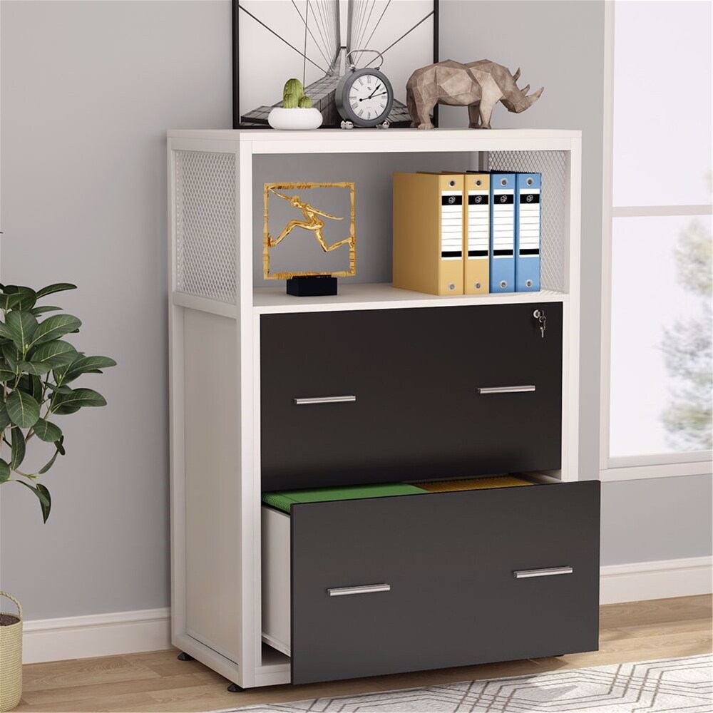 Large Modern Filing Cabinet 2 Drawers Lateral File Cabinet with Lock